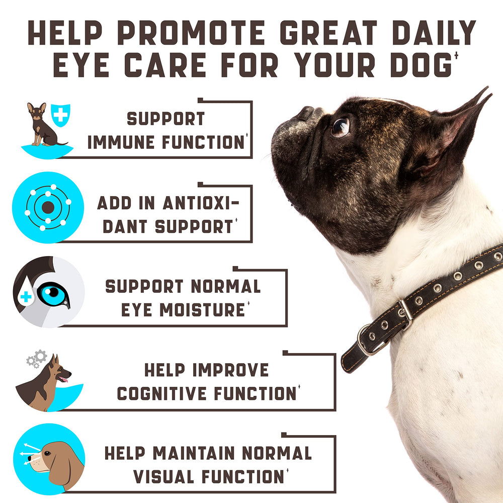 Kinpur Eye Vitamins soft chews served as a tasty daily care routine.