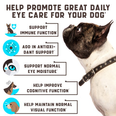 Kinpur Eye Vitamins soft chews served as a tasty daily care routine.