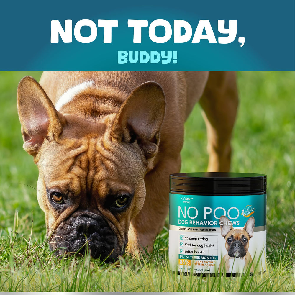 Kinpur No Poo Chews manufactured in the USA under strict quality standards.