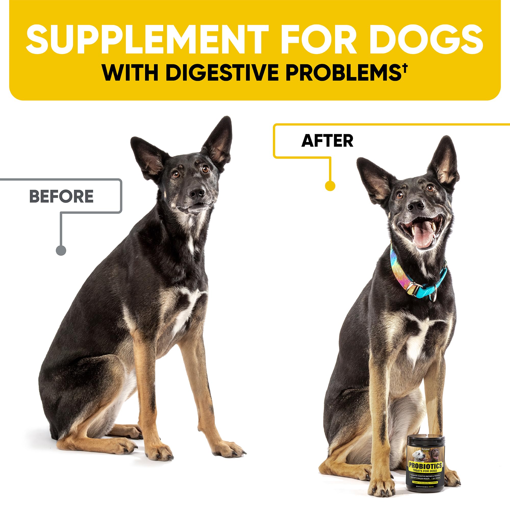 Kinpur Probiotics Chews on hand show tasty treats for itch relief and skin wellness