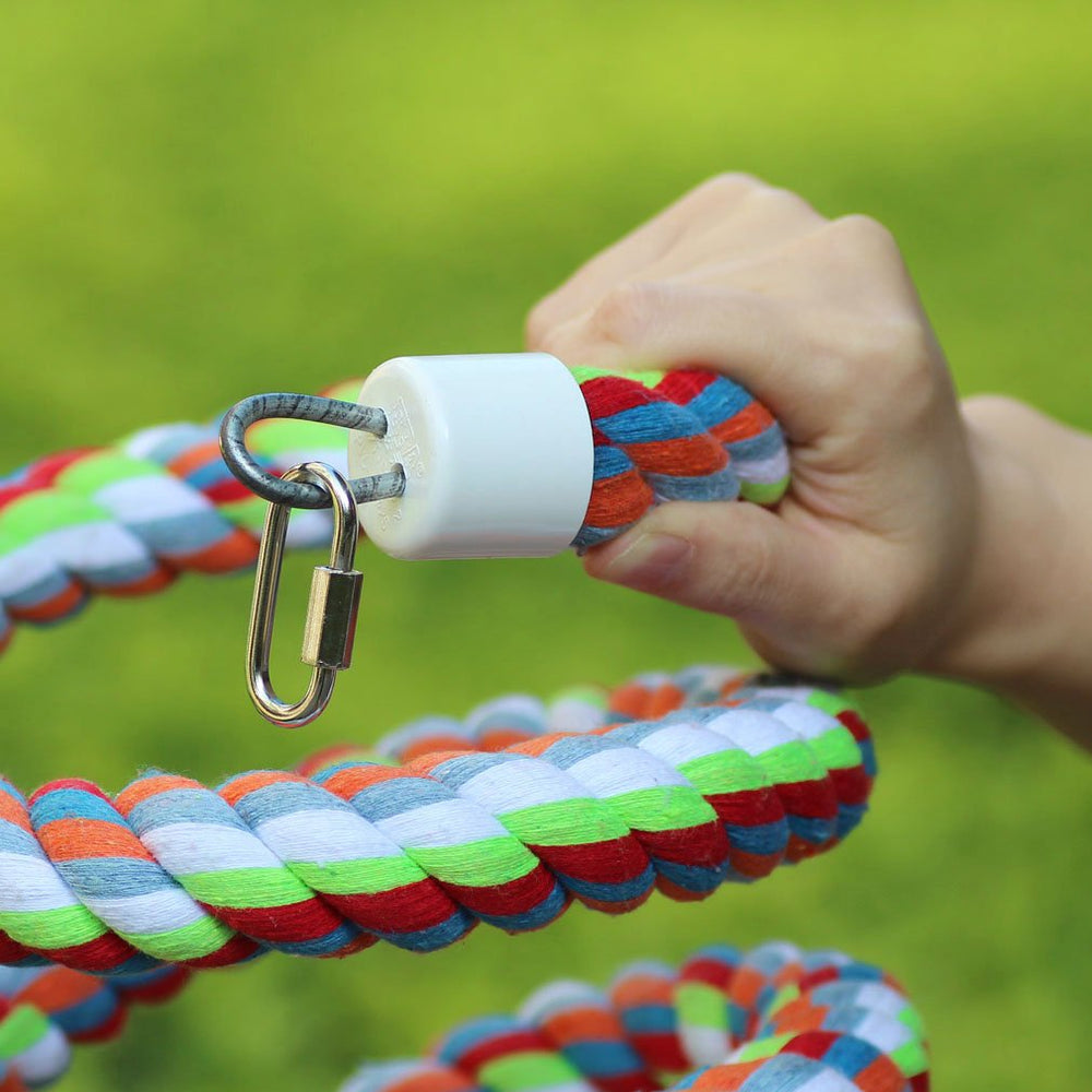 Kintor enrichment with varied shapes invites exploration and mental stimulation
