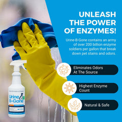 KINZUA ENVIRONMENTAL urine-b-gone cat urine removal: fast odor neutralization for home spaces.