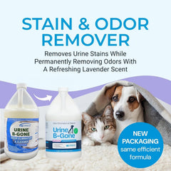 KINZUA ENVIRONMENTAL Urine B-Gone label closeup highlights the enzyme formula and lavender scent.
