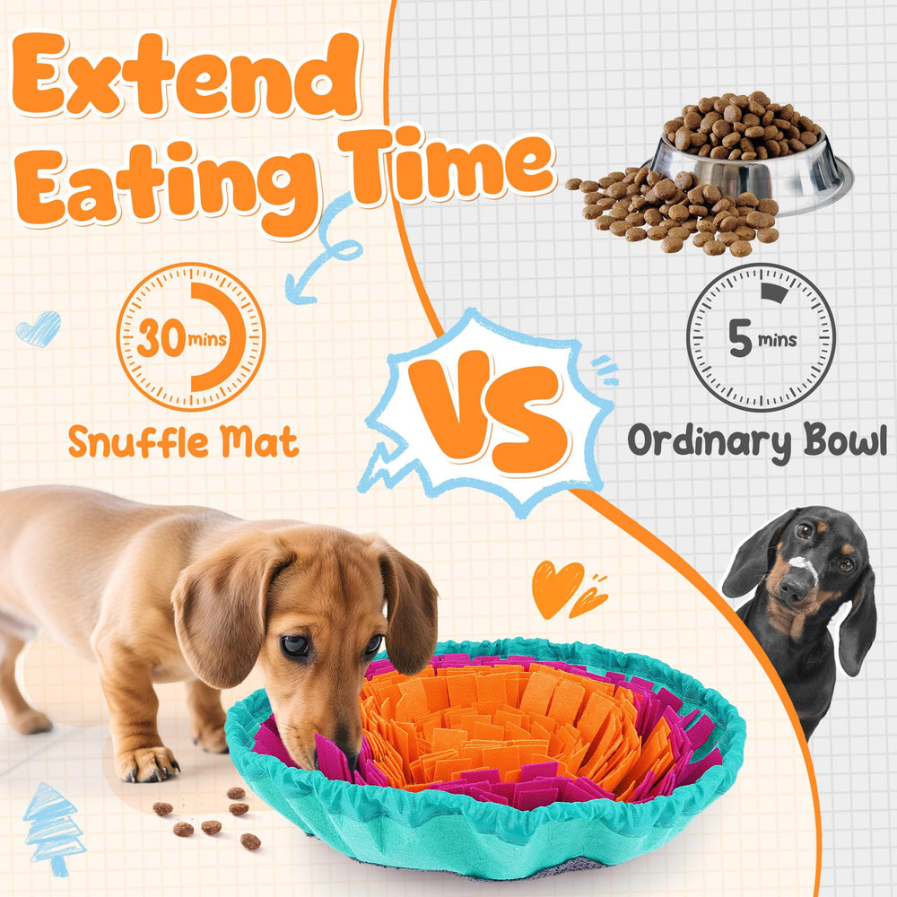 KIPRITII dog feeding set brush keeps mats clean and hygienic
