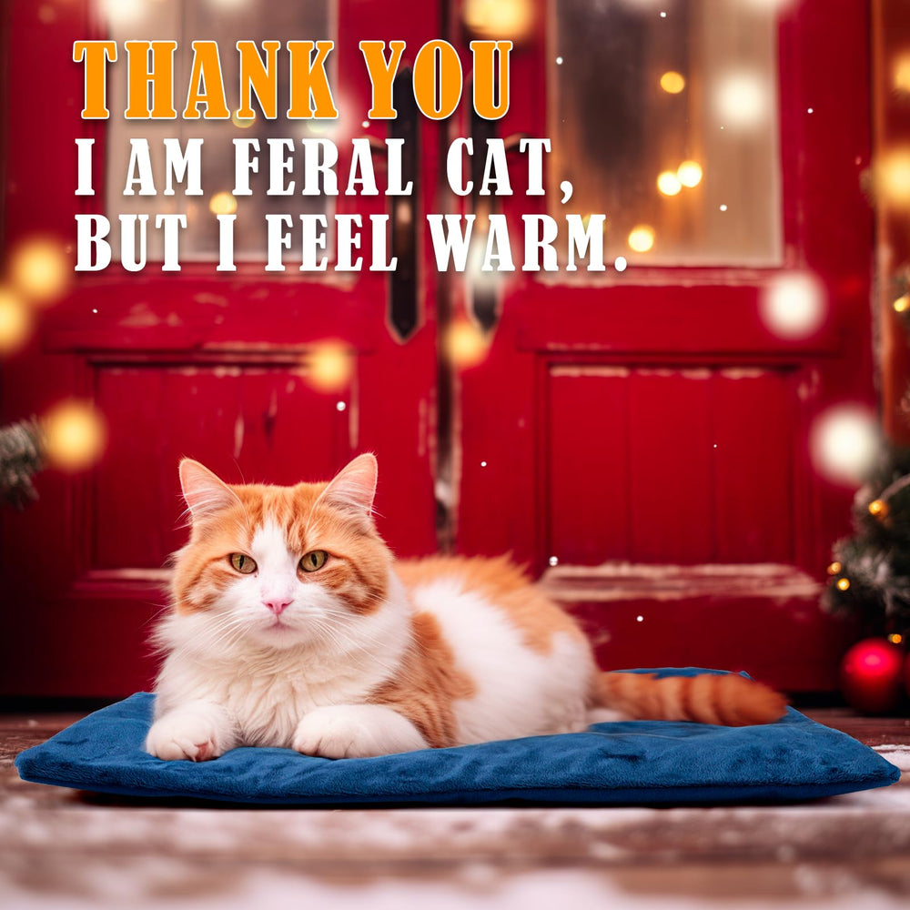 Kiroto automatic temperature control detail highlights safe, steady warmth for pets.