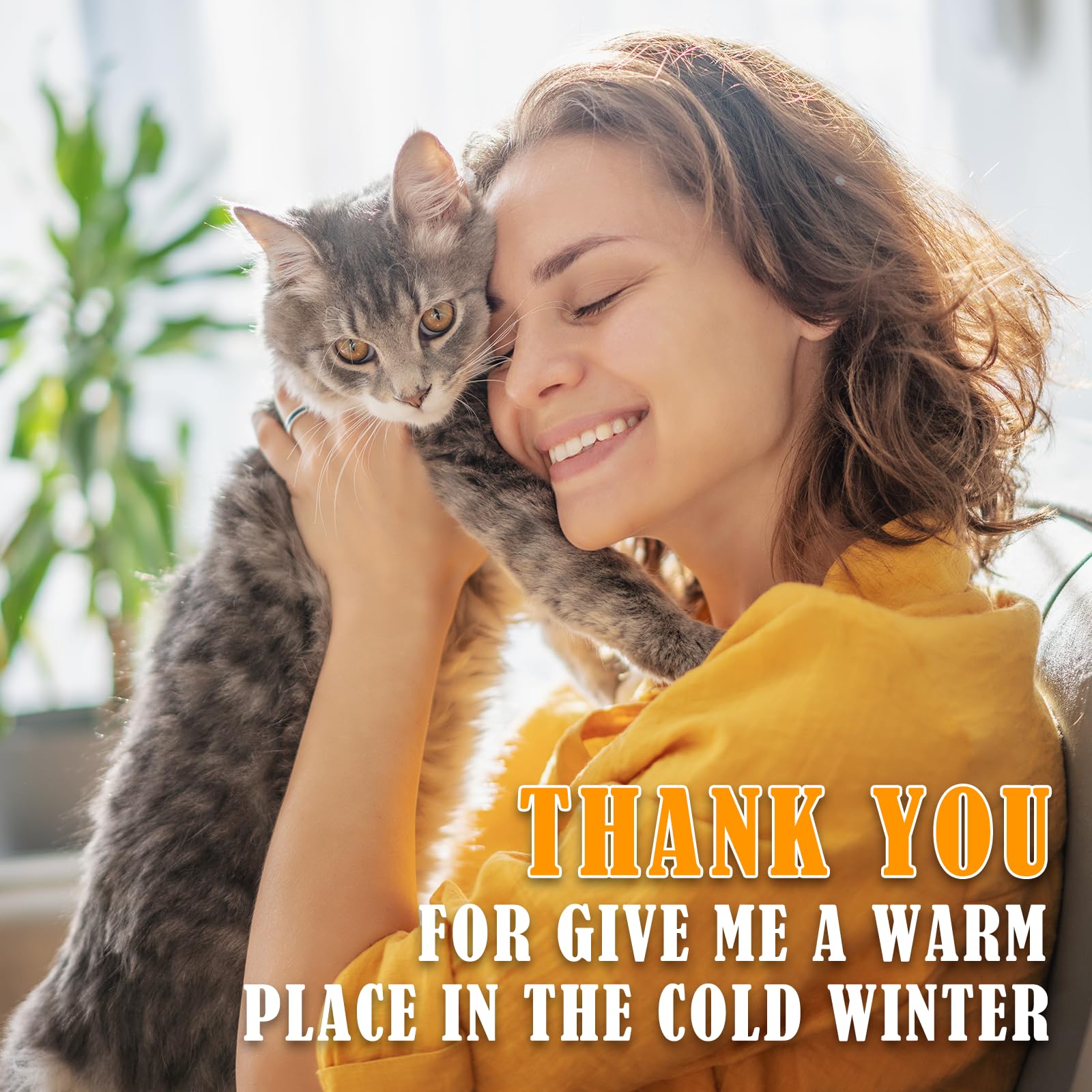 Kiroto outdoor pet heating pad in sheltered shelter use for warmth.