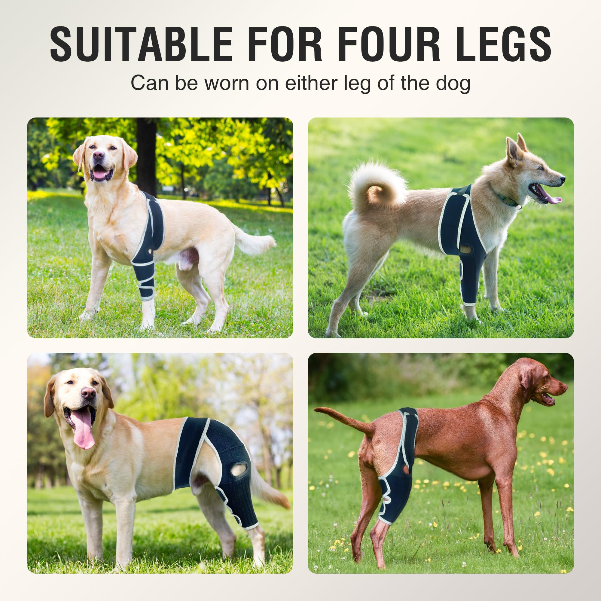 KISFLY knee brace reflective edge improves night visibility for safety