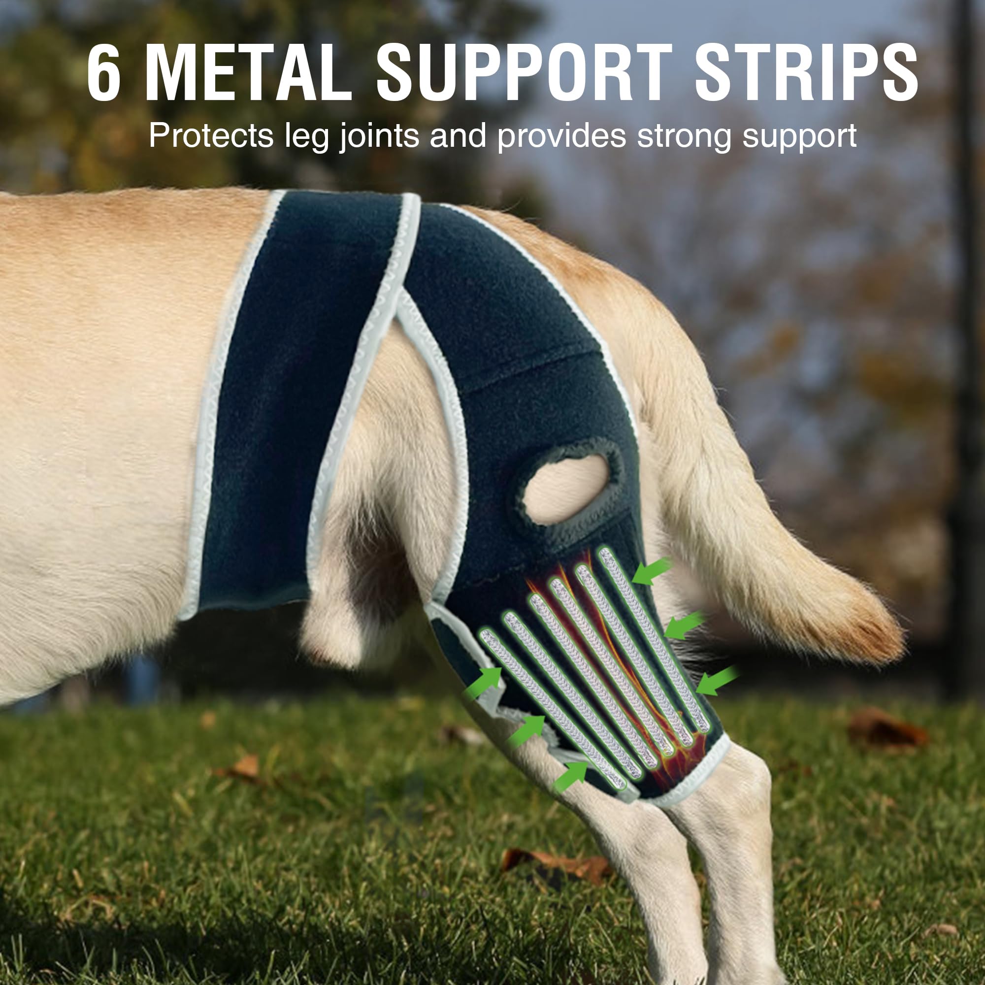 KISFLY dog knee brace six metal strips provide enhanced knee support.