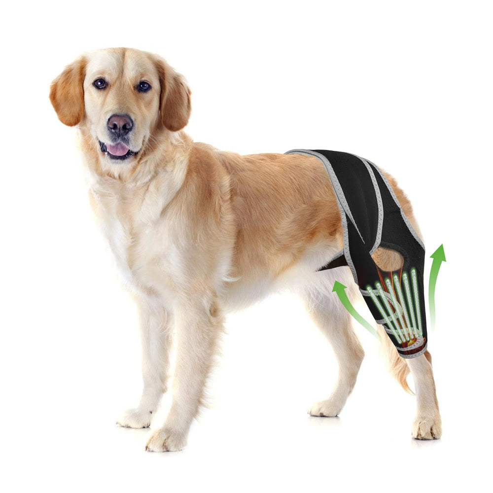 KISFLY dog knee brace universal design image showing comfortable four-leg wear