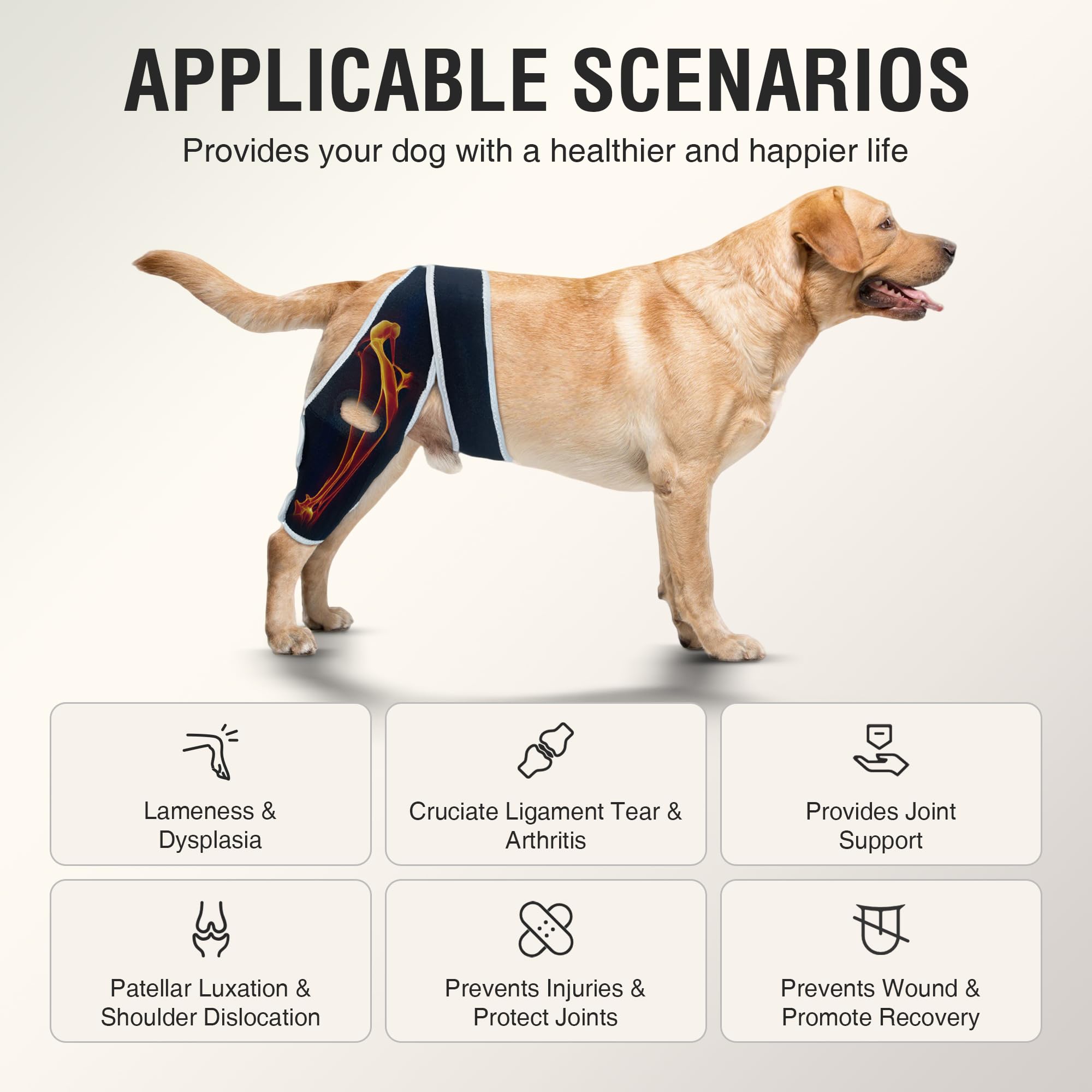 KISFLY dog knee brace XXL size demonstrates secure fit for extra-large dogs