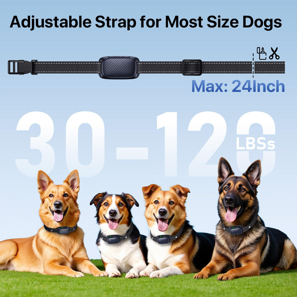 KISMIGER bark collar safety-off indicator enables quick reset during training.