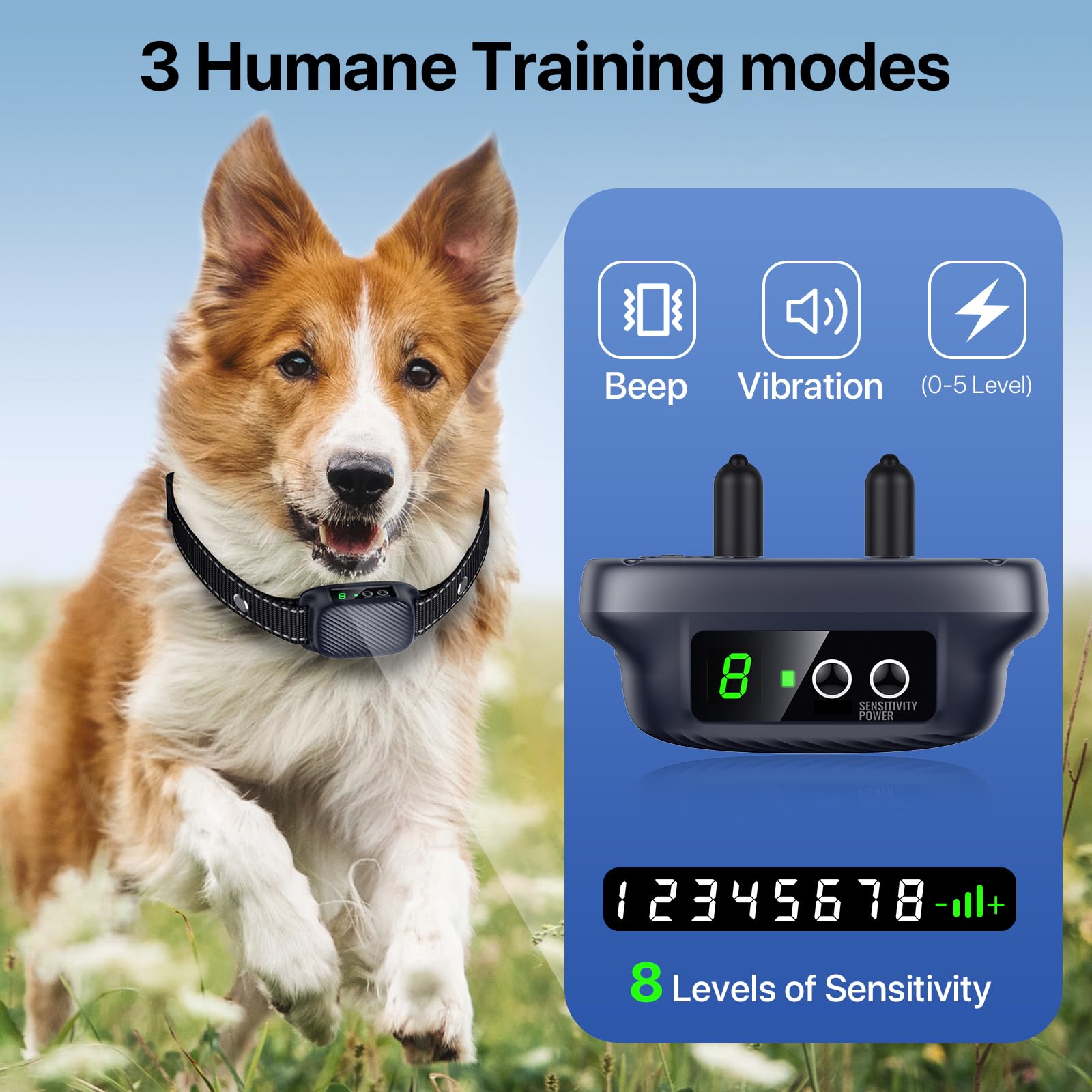 KISMIGER bark collar worn on dog shows safe, snug strap fit during activities.