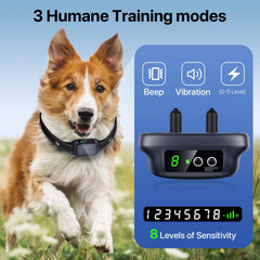 KISMIGER bark collar worn on dog shows safe, snug strap fit during activities.