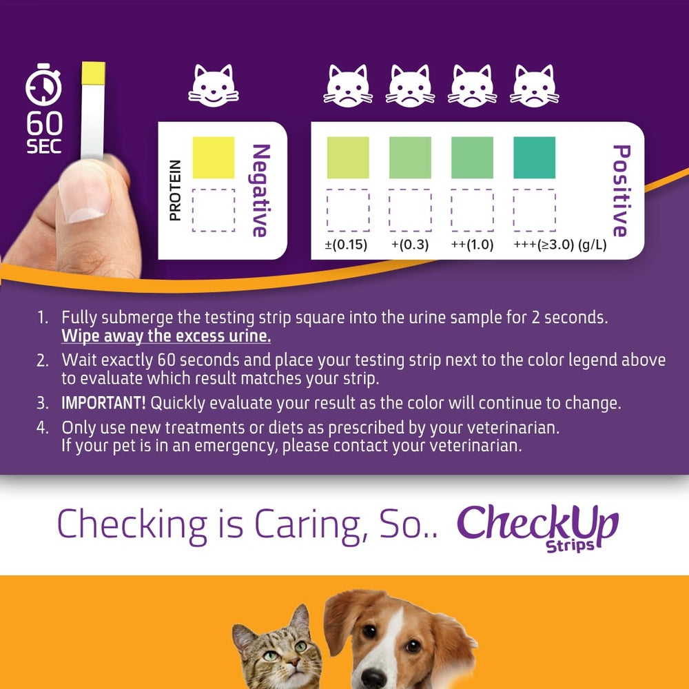 KIT4CAT CheckUp box multilingual packaging supports English French German