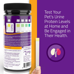 KIT4CAT CheckUp color chart reading shows a clear result for pet health