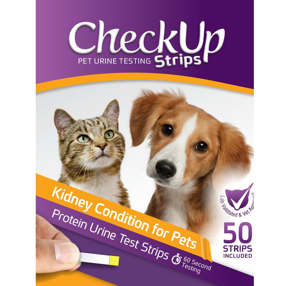 KIT4CAT CheckUp language-packed box aids proper usage