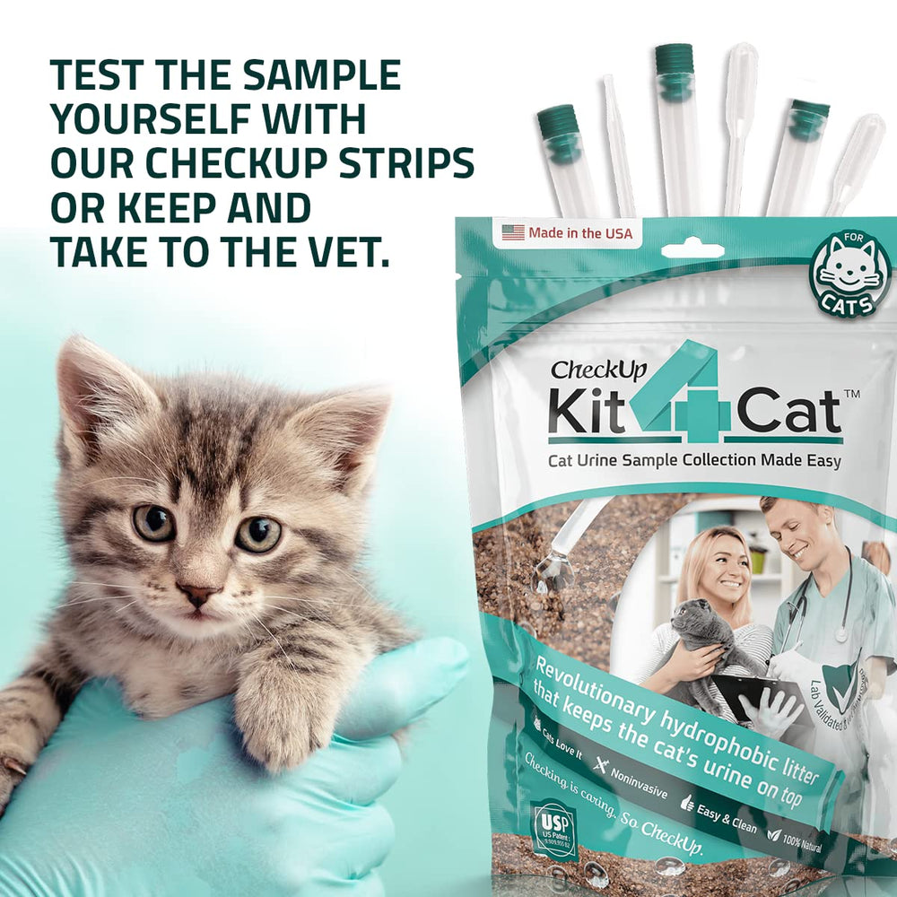 KIT4CAT three bags 2lb packaging emphasizes cost-efficient one-time use.