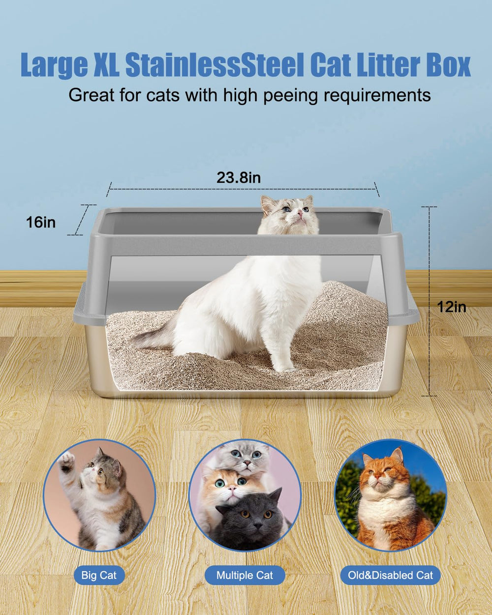 KITCATY 2PACK XL lid-on position showing high-sided enclosure with secure buckle for added stability