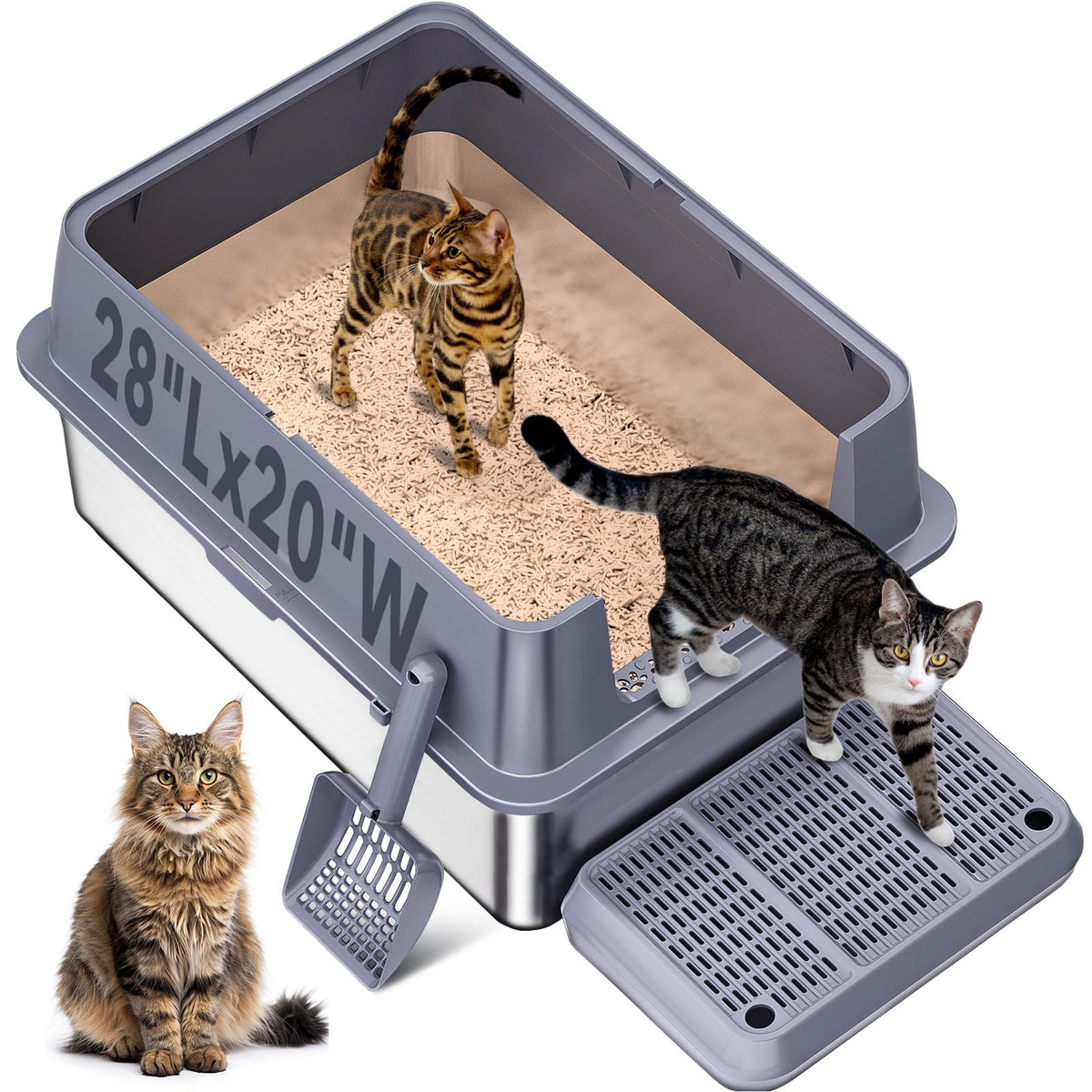 KITCATY XXL stainless steel litter box top view shows roomy interior for large cats