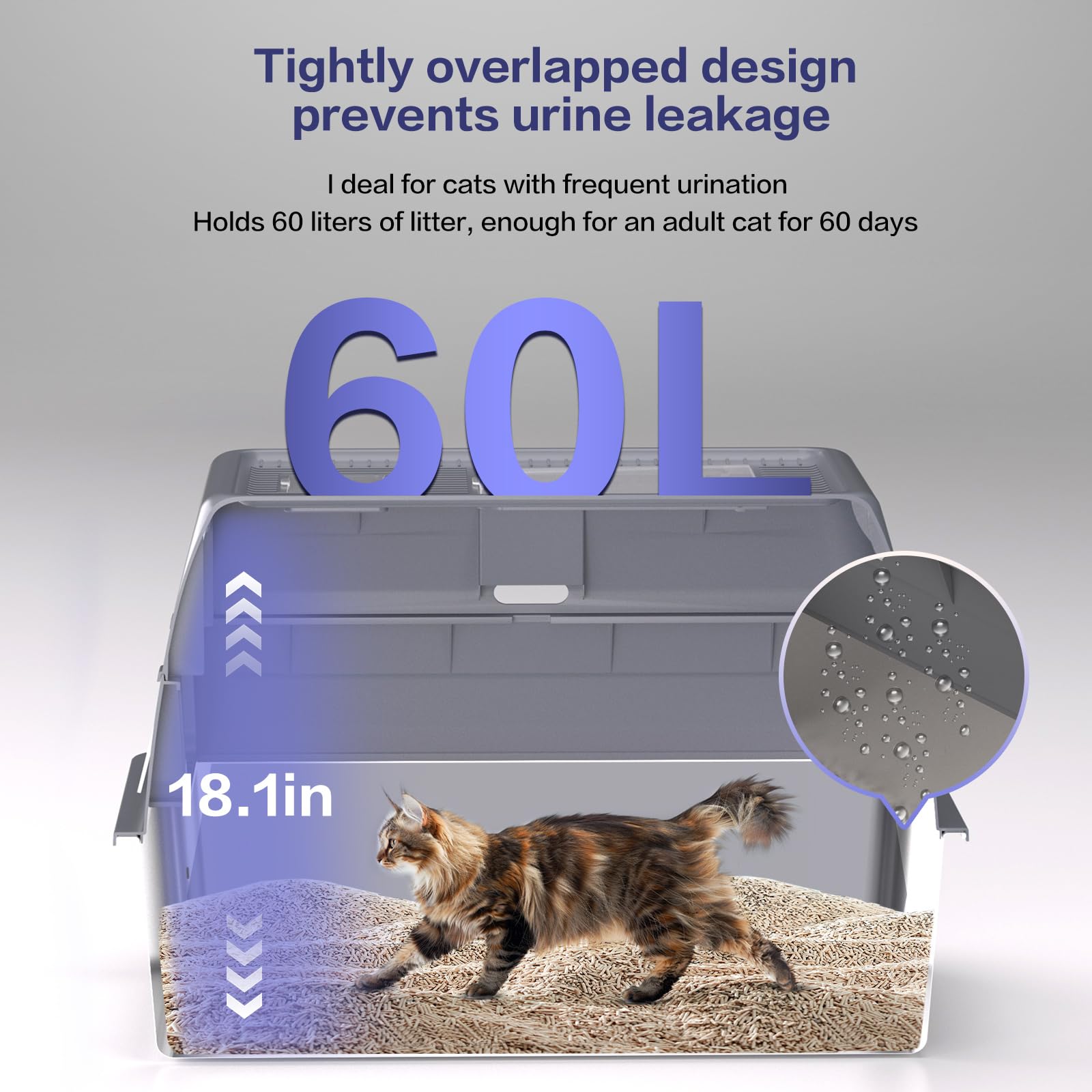 KITCATY high-sided design protects floors and reduces litter spread while keeping paws comfortable.