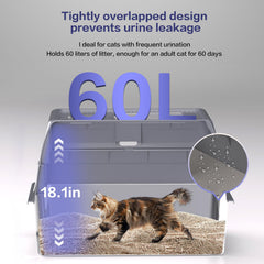 KITCATY high-sided design protects floors and reduces litter spread while keeping paws comfortable.