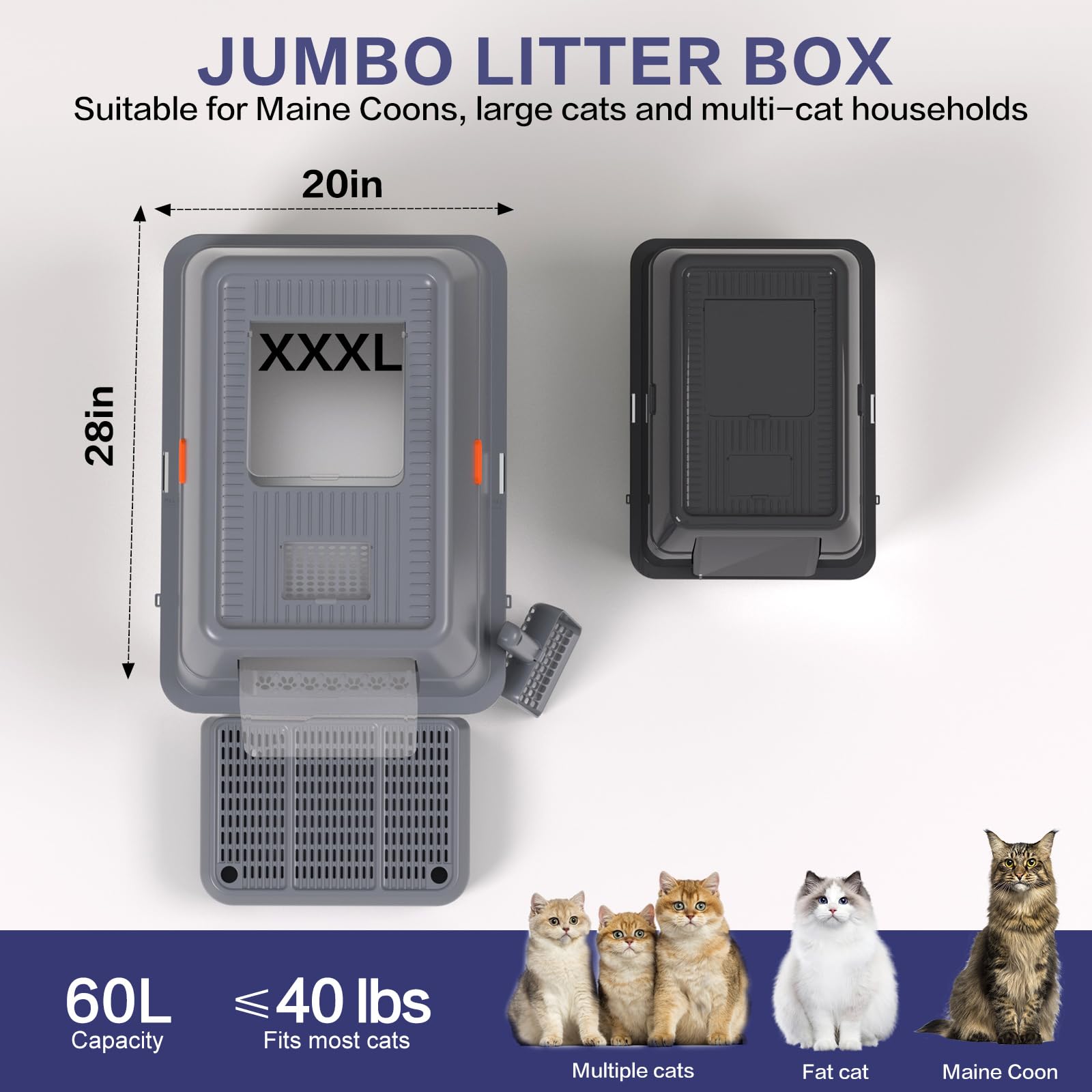 KITCATY front view shows dual entrance design for versatile cat entry options.