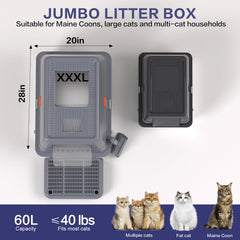 KITCATY front view shows dual entrance design for versatile cat entry options.