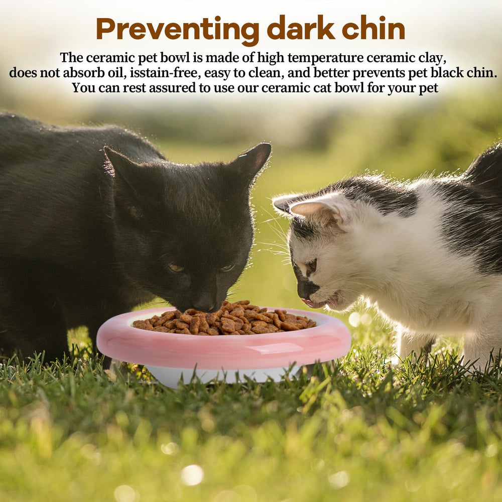 KITCHENLESTAR ceramic cat bowl pink angled view demonstrates elegant design for indoor cats.