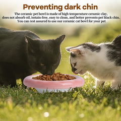 KITCHENLESTAR ceramic cat bowl pink angled view demonstrates elegant design for indoor cats.