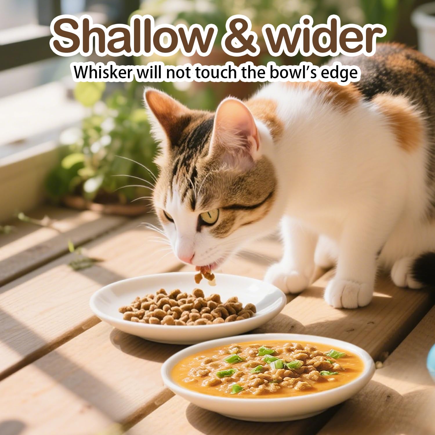 KITCHENLESTAR cat bowl set 6 dishwasher safe construction for easy cleanup