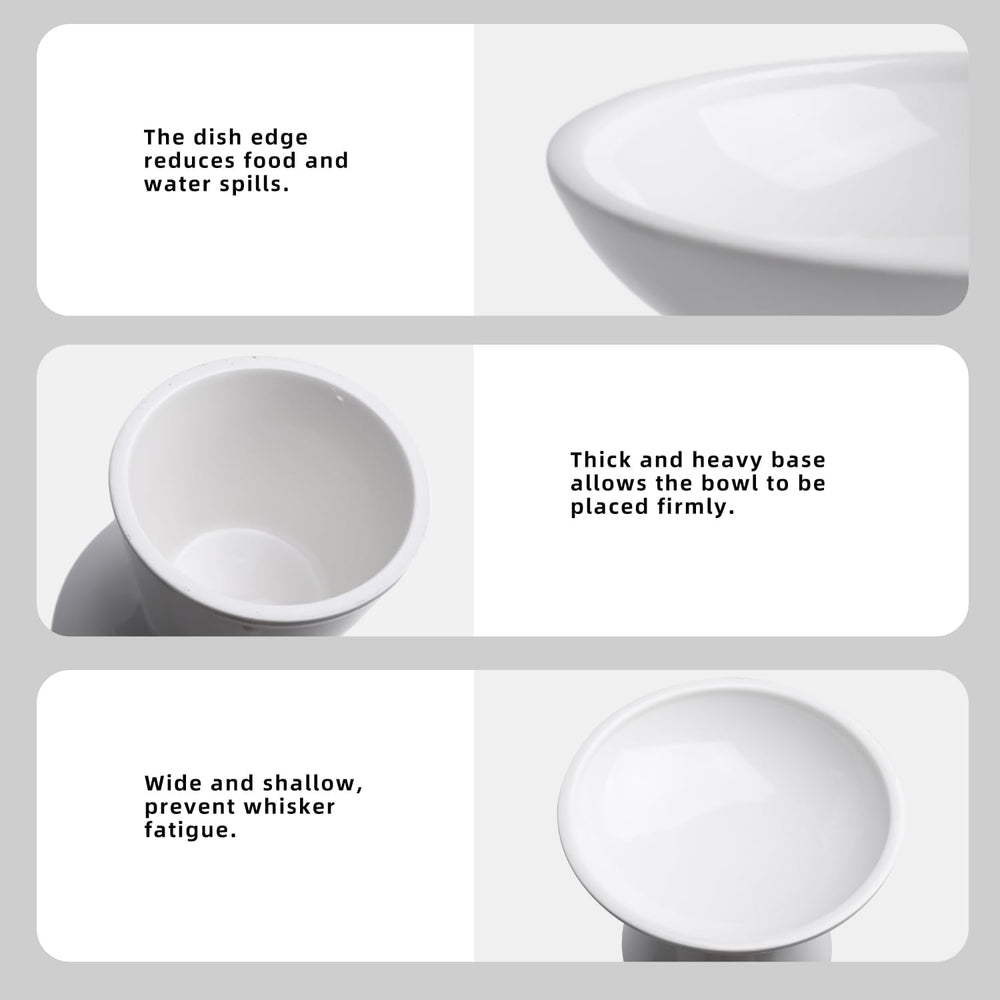 KITCHENLESTAR cat mealtime in comfort using elevated bowl design.