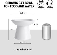 KITCHENLESTAR ceramic bowls close-up highlighting durable non-absorbent surface.