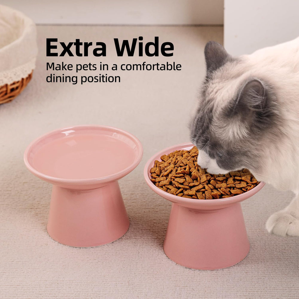 KITCHENLESTAR elderly cat eating scene with raised bowls