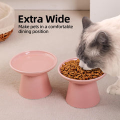 KITCHENLESTAR elderly cat eating scene with raised bowls