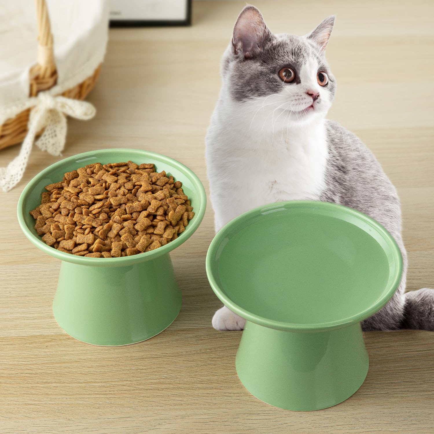 KITCHENLESTAR elder-cat eating setup demonstrates elevated seating.