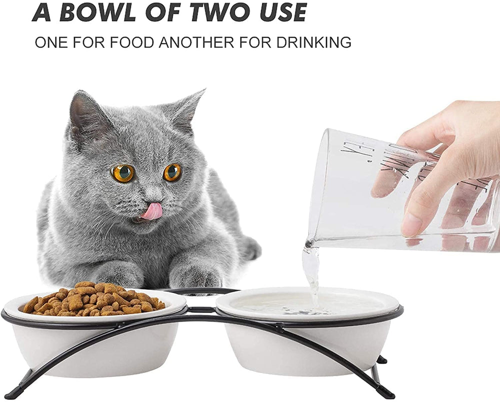 KitchenLeStar multi-use pet bowl for food and water.