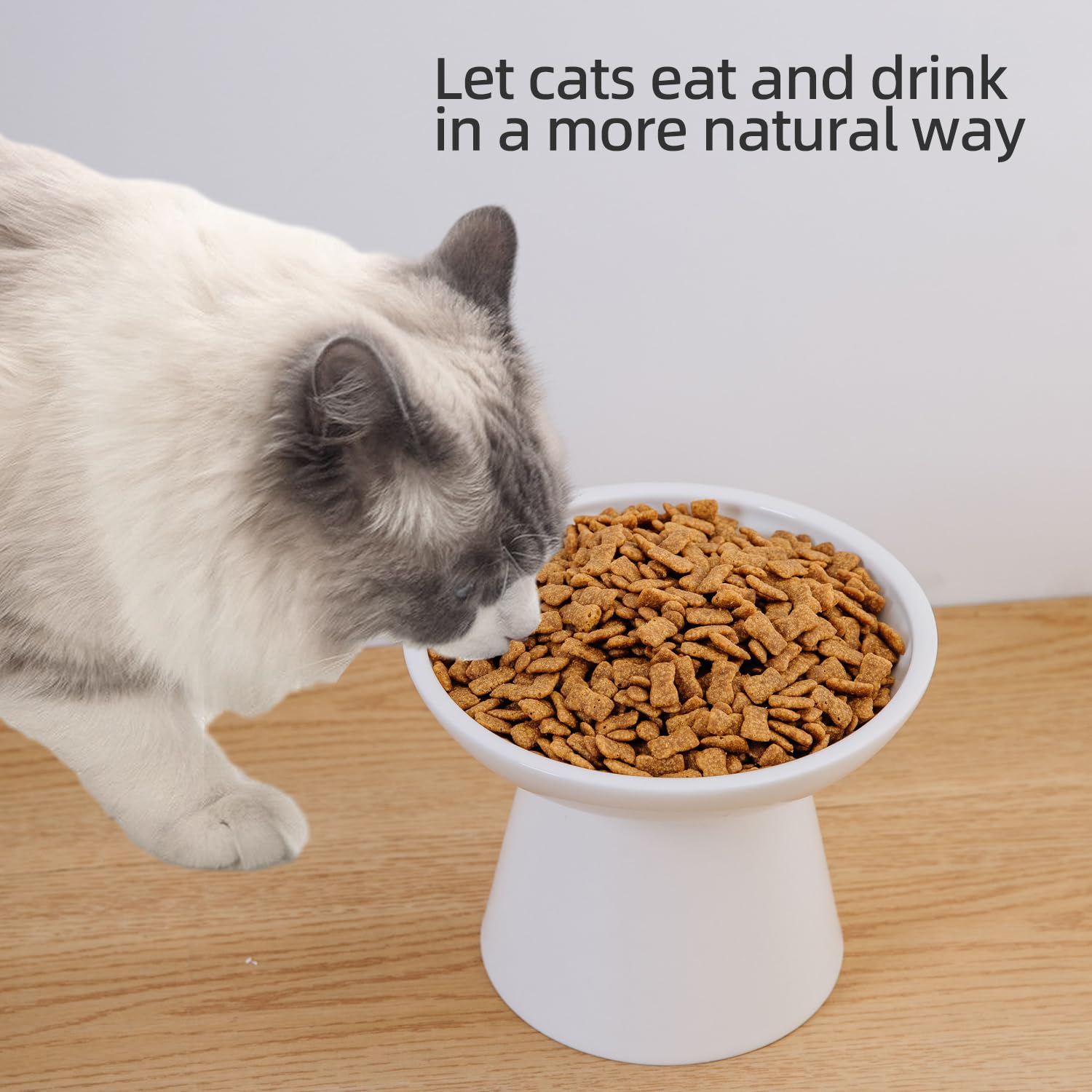 KITCHENLESTAR raised cat bowl demonstrates ergonomic height for comfortable eating.