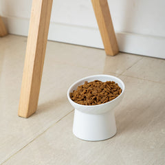 KITCHENLESTAR two-pack white bowls provide stylish pet dining space