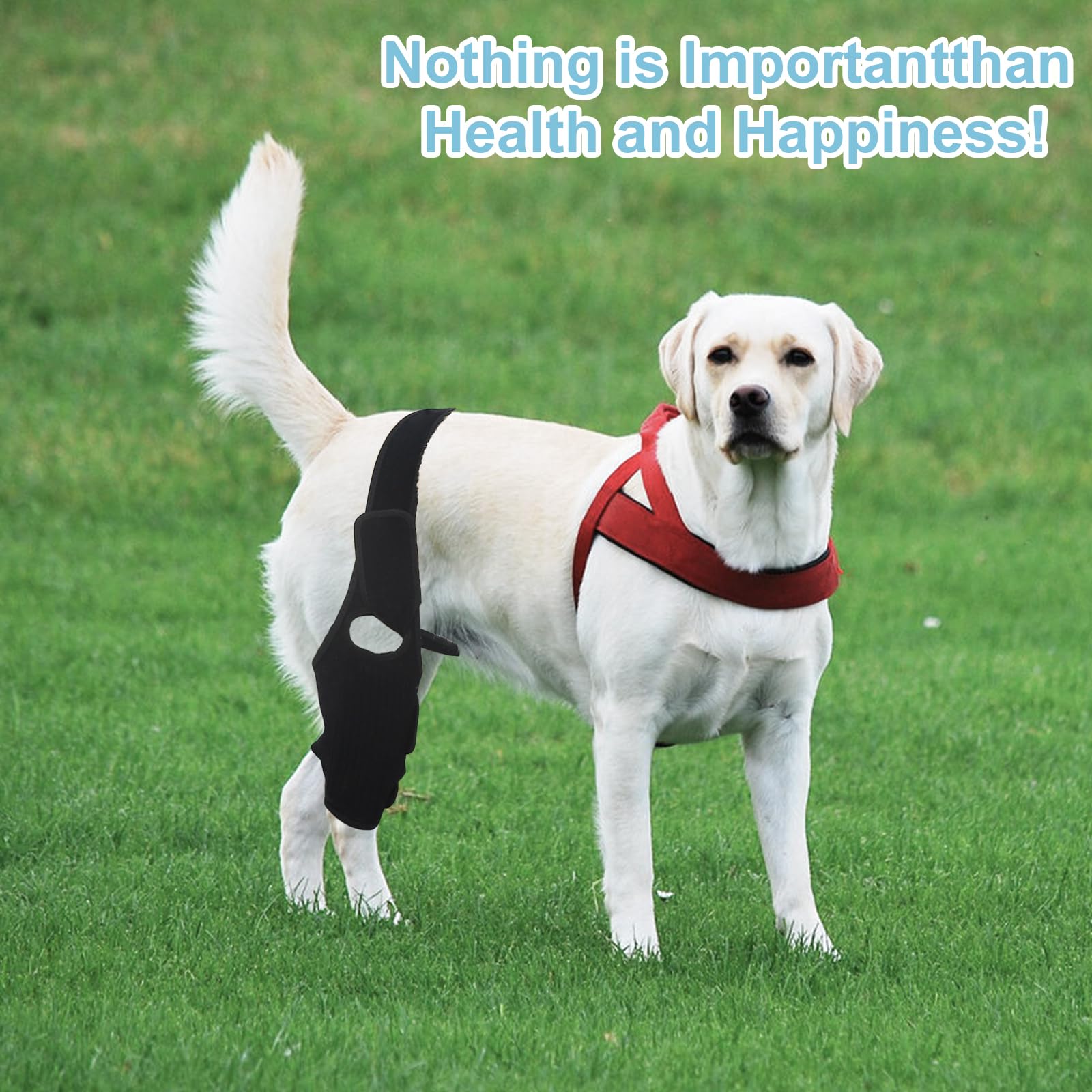 KitchMingle rear-leg brace provides light compression to stabilize muscles and speed recovery