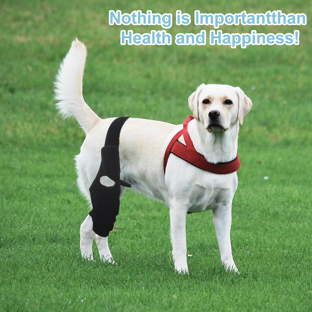 KitchMingle rear-leg brace provides light compression to stabilize muscles and speed recovery