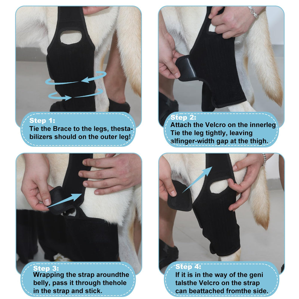 KitchMingle vet-approved brace supports diverse joint needs with a sturdy, reliable build