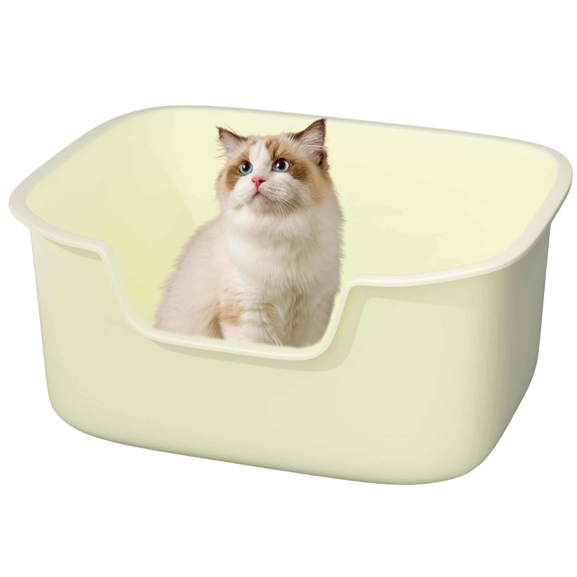 Kittenhood large cat litter box with side-entry open top for easy access and mess control