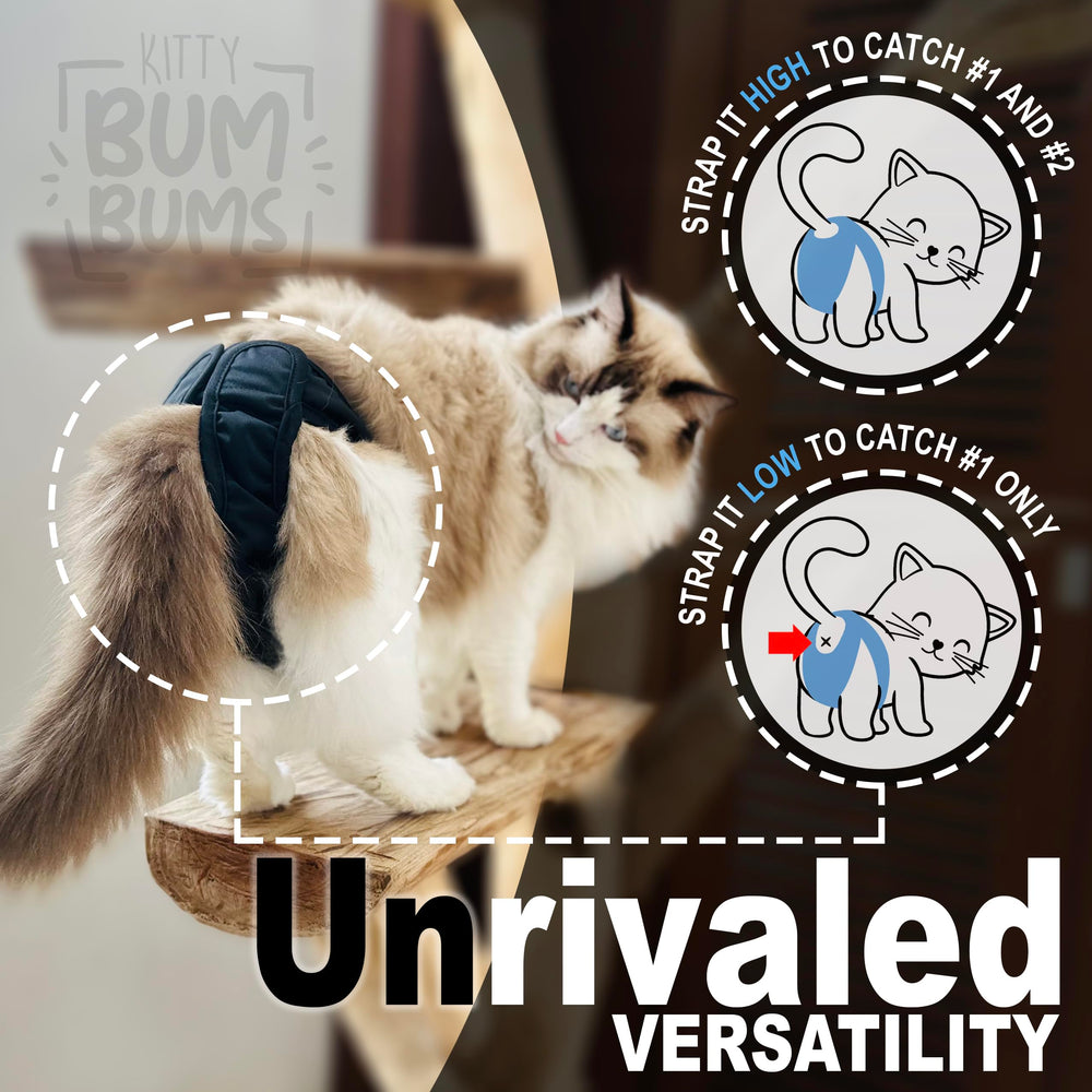 Kitty BumBums cat in heat care use case demonstrates containment and comfort
