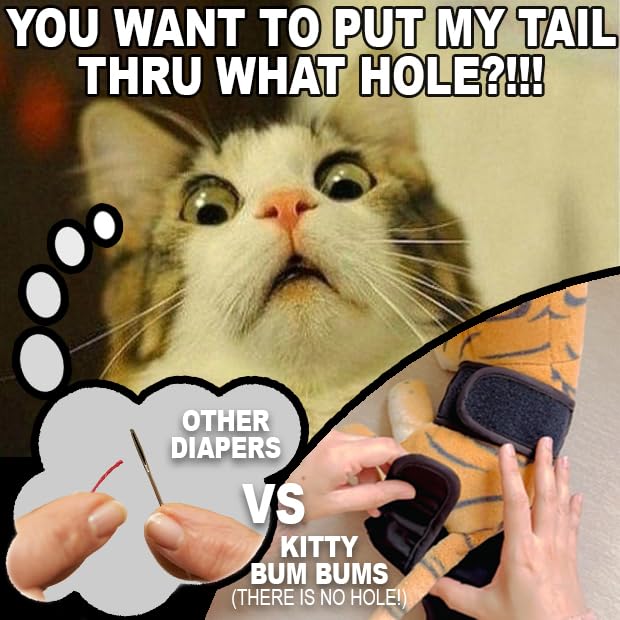 Kitty BumBums eco-friendly alternative to disposable diapers.