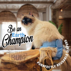 Kitty BumBums waterproof outer layer with breathable inner keeps the cat comfortable
