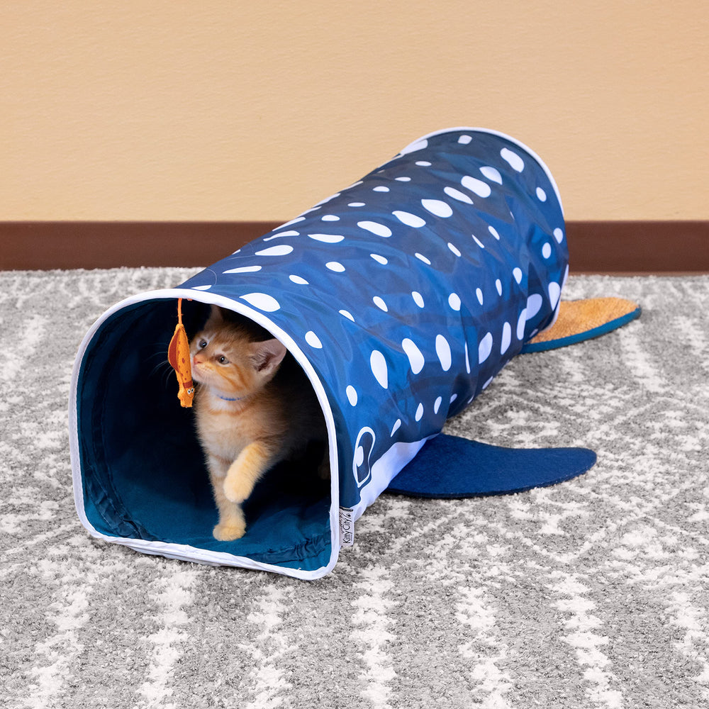 Kitty City Whale Shark Tunnel squid-dangle entices swipes during active play.