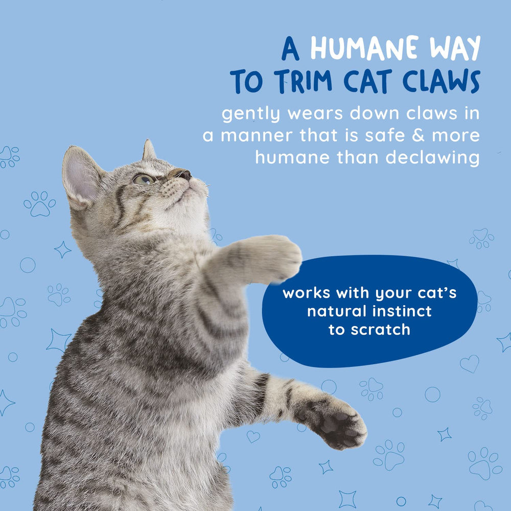 Kitty Cure washable reusable design simplifies maintenance for busy homes