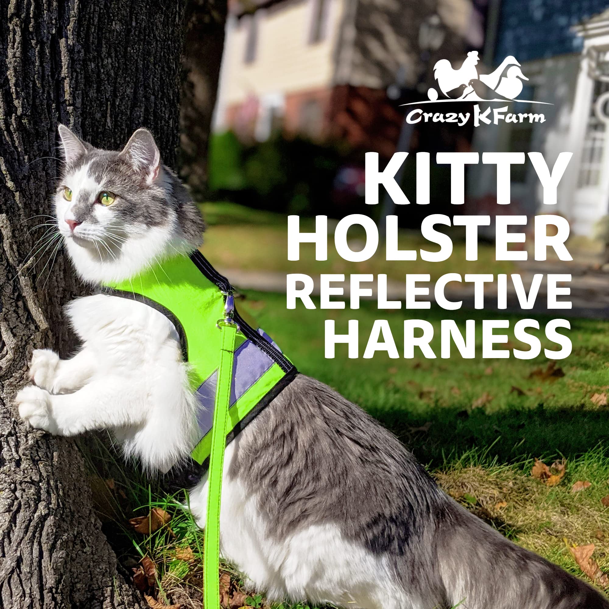 Kitty Holster reflective harness shown in daylight for high visibility during walks.
