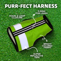 Kitty Holster secure snug fit with D‑ring and hook‑and‑loop closures for reliable leash use.