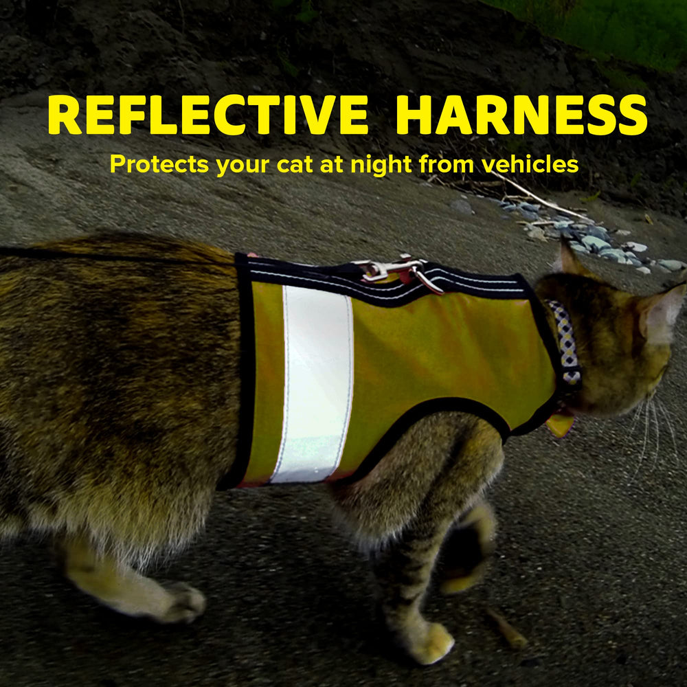 Kitty Holster Travel-Training-Pamphlet supports leashing success with clear guidance.